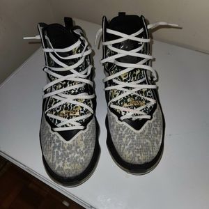 Nike LeBron XIX size 12